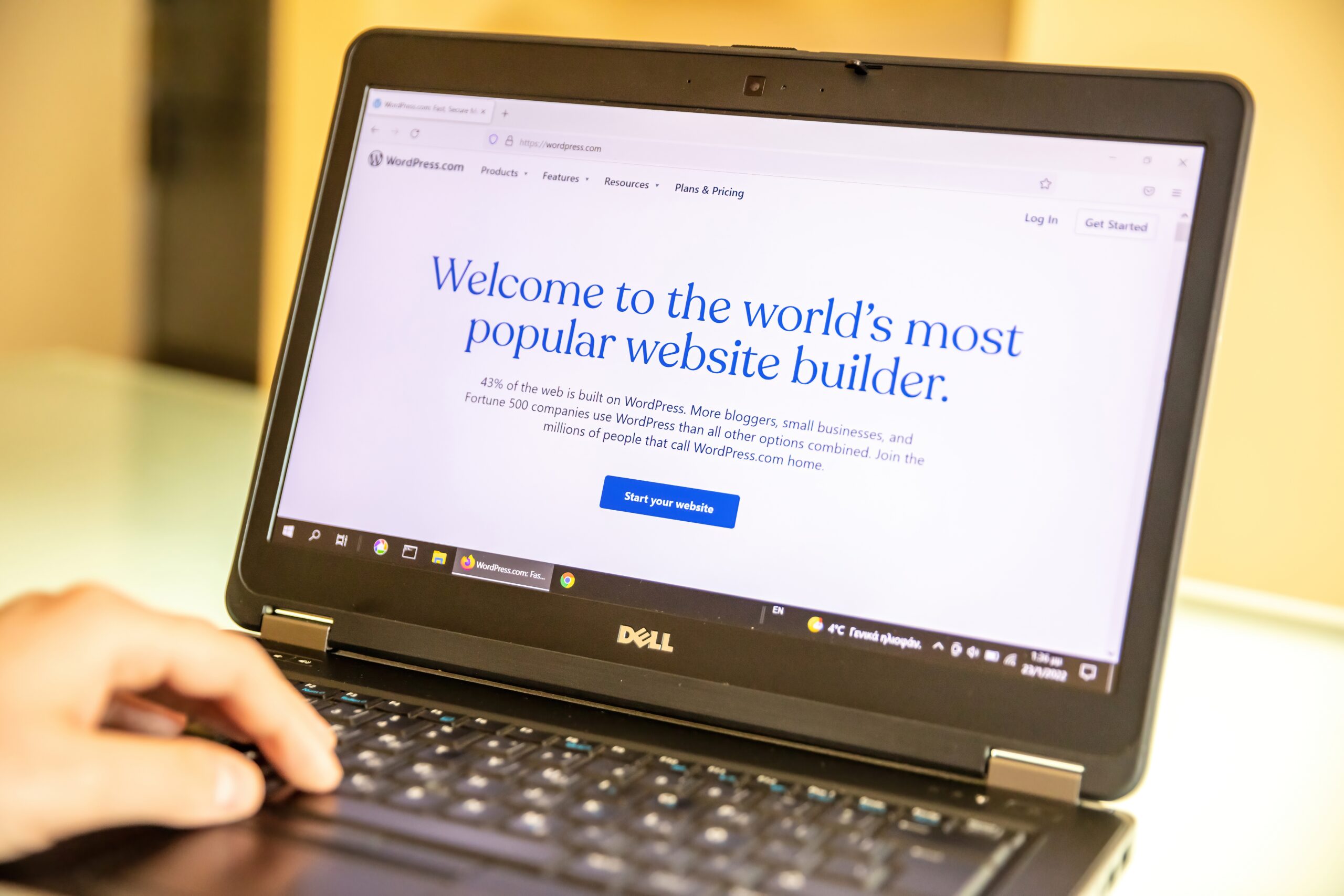 wordpress website builder