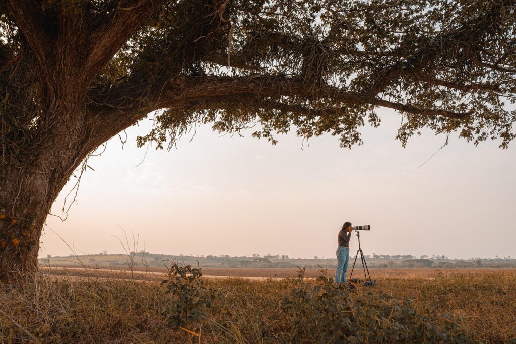 tree, photographer, lens, female, nature, lookout, landscape