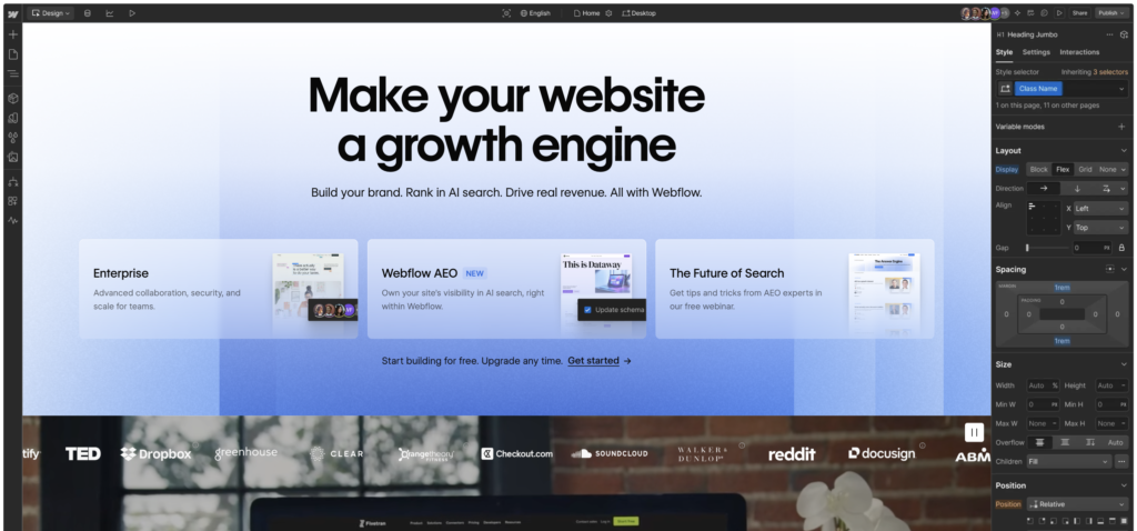 webflow for beginners dashboard